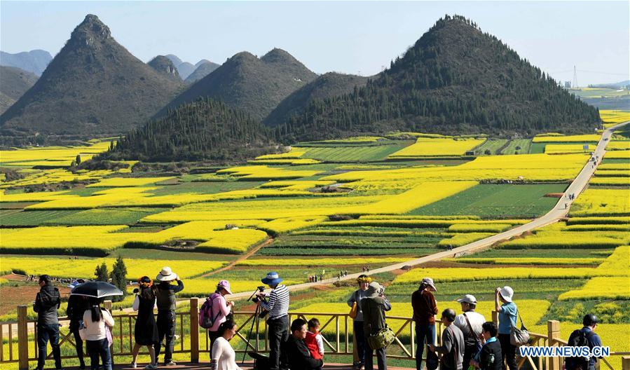 Beaux paysages printaniers en Chine