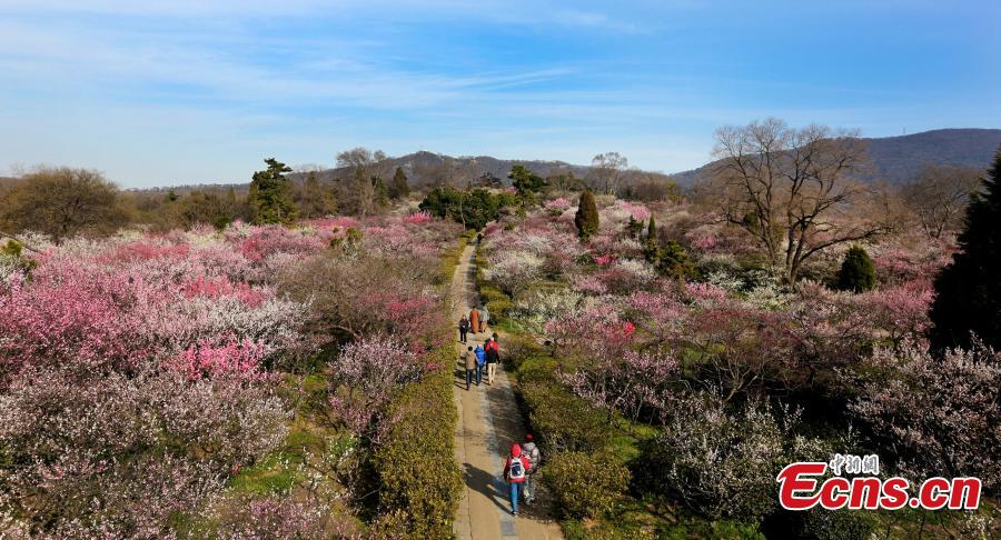 Beaux paysages printaniers en Chine