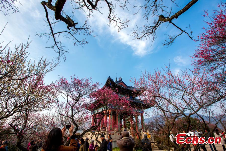 Beaux paysages printaniers en Chine