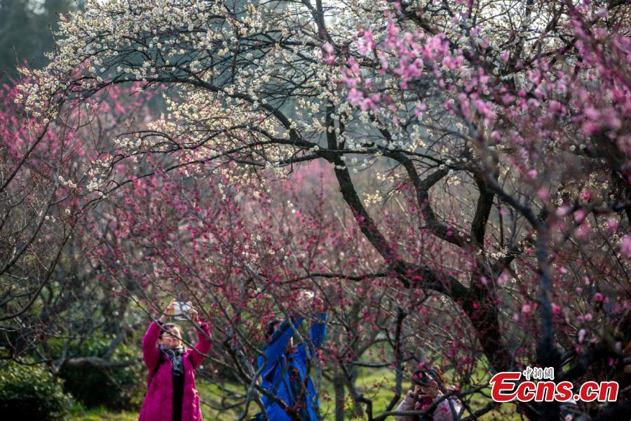 Beaux paysages printaniers en Chine