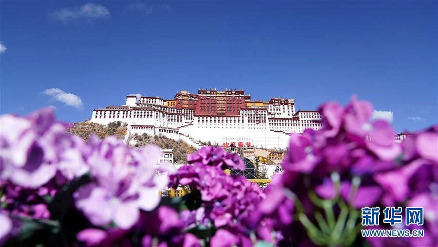 Tibet: le palais du Potala ouvrira ses portes gratuitement dès le 1er février