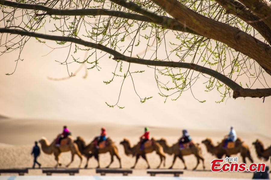 A la découverte des « sables chantants » de Dunhuang, dans le désert de Gobi