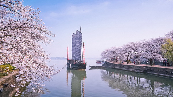 La beauté tranquille de Wuxi parée de fleurs de cerisier