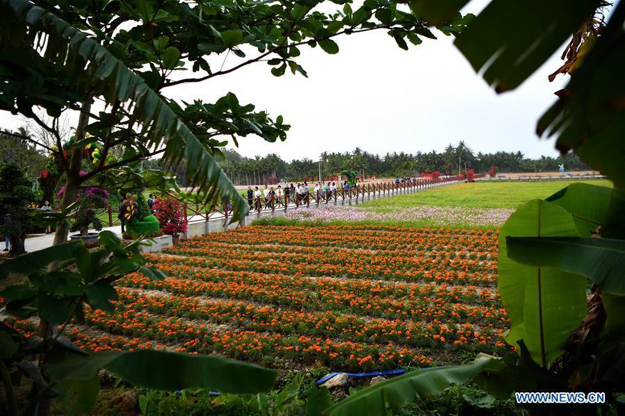 Les paysages de Bo’ao, dans la province de Hainan