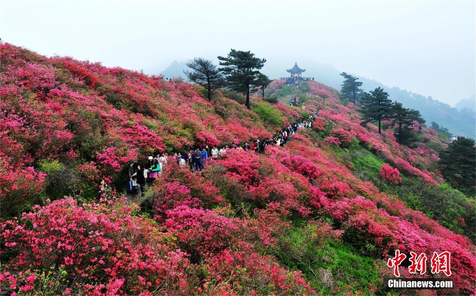 Le géoparc de Dabieshan du Hubei reconnu géoparc mondial de l'UNESCO