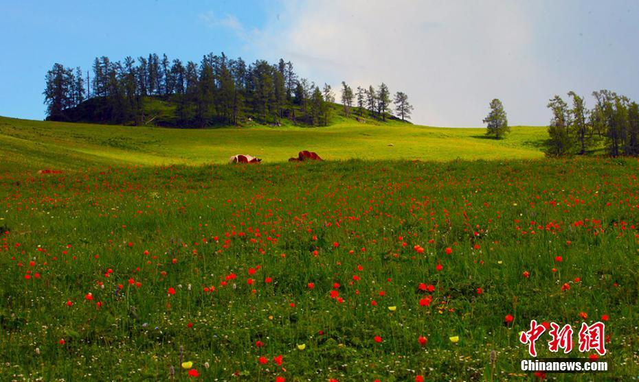 Xinjiang : la beauté estivale et le tourisme en plein essor