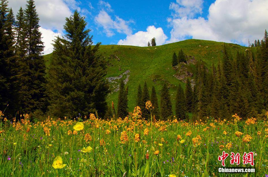 Xinjiang : la beauté estivale et le tourisme en plein essor