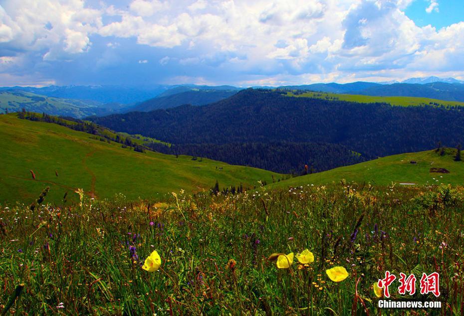 Xinjiang : la beauté estivale et le tourisme en plein essor