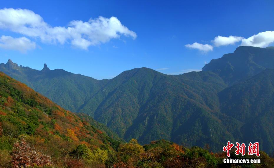 La réserve naturelle de Fanjingshan en Chine sur la liste du patrimoine mondial de l'Unesco