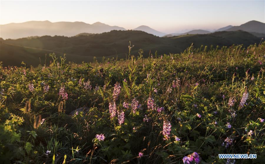 Paysage de montagne dans le nord-ouest de la Chine