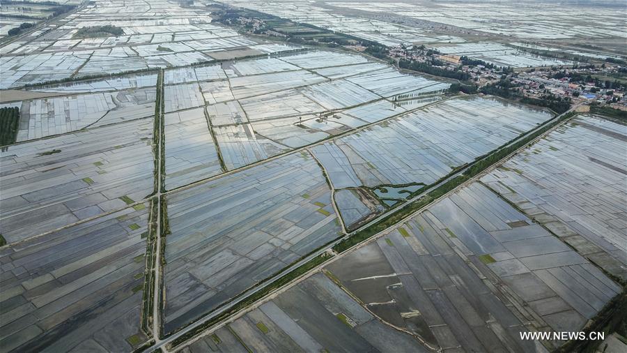 Chine : construction de routes au Xinjiang