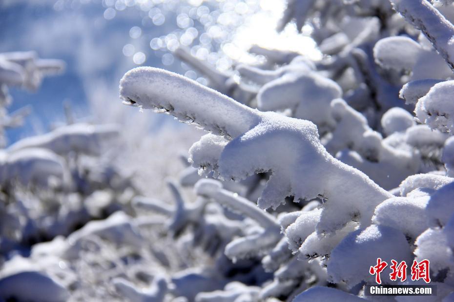 Xinjiang : la beauté hivernale du lac Tianchi