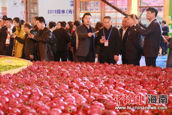 Haikou : ouverture de la Foire d’hiver internationale des produits tropicaux de Hainan 2018