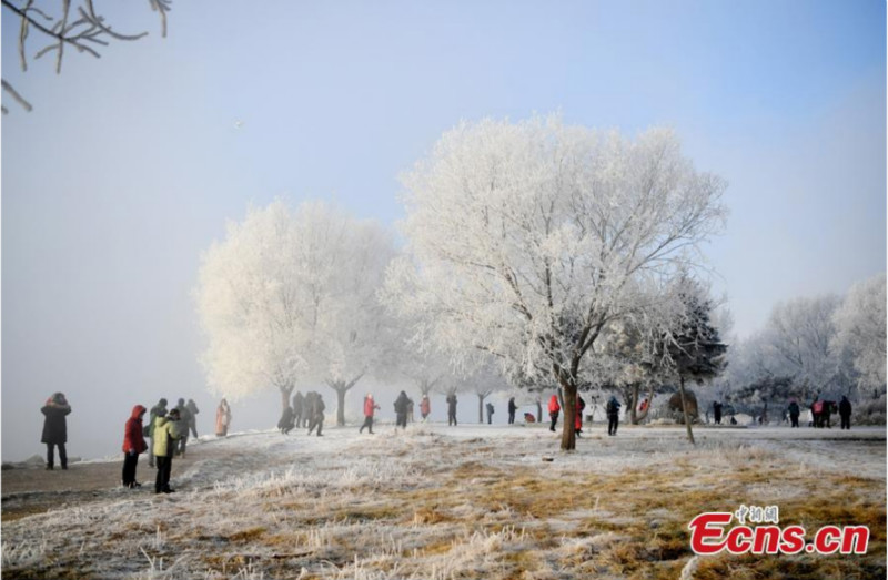 Chine : paysage de givre dans le nord-est