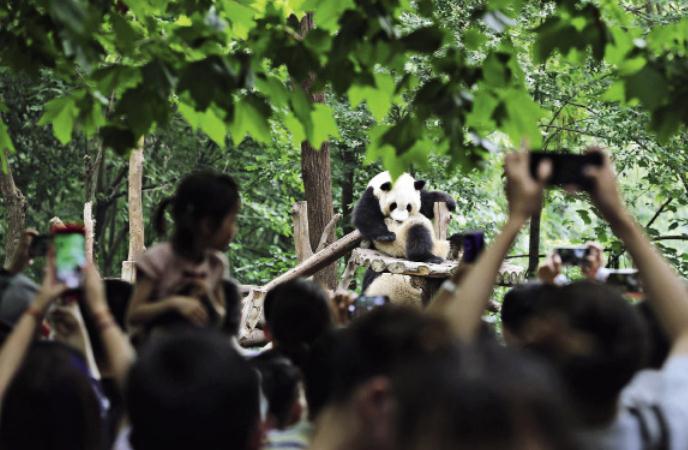 Chengdu, pays de lait et de miel