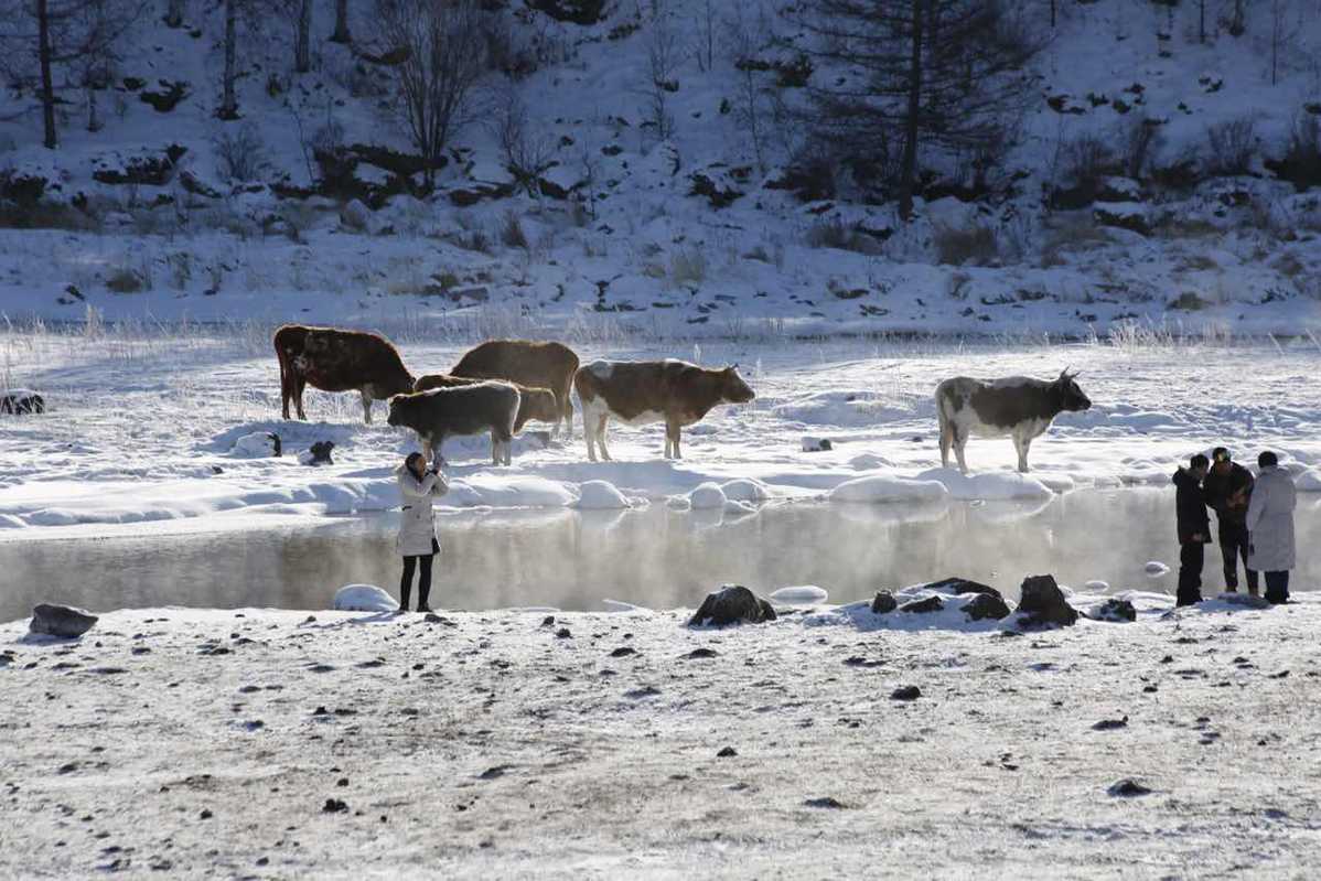 Mongolie intérieure: la rivière qui ne gèle jamais en hiver