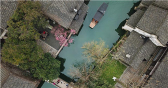 Paysage de Wuzhen dans l'est de la Chine