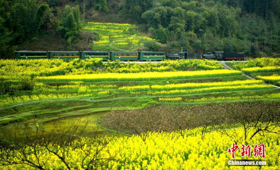 Venez prendre le petit train de Jiayang pour un voyage printanier !