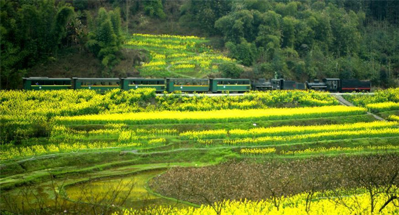 Venez prendre le petit train de Jiayang pour un voyage printanier !