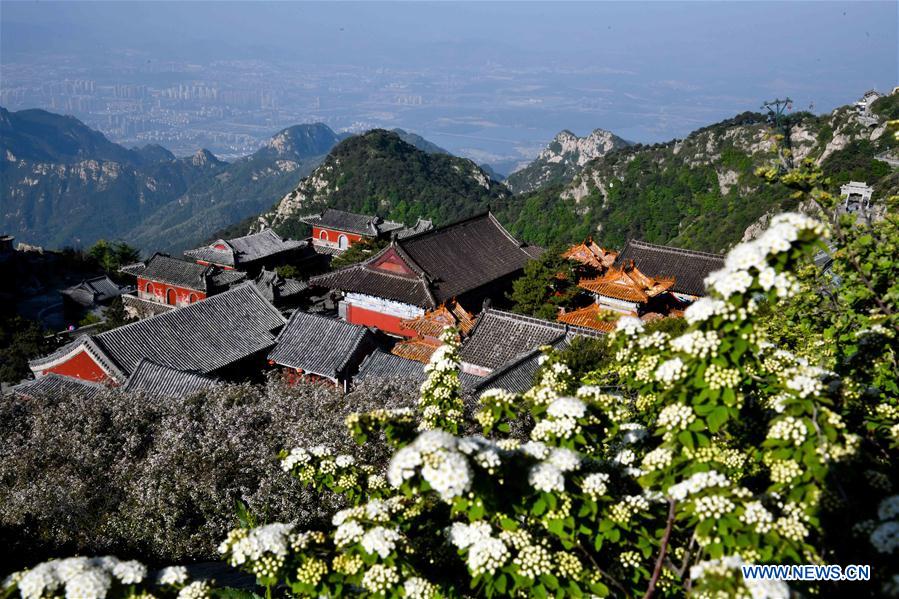 Chine : paysages magnifiques des monts Taishan et Emei