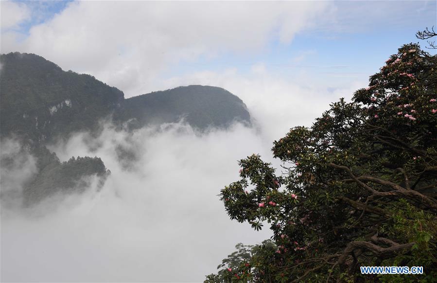 Chine : paysages magnifiques des monts Taishan et Emei