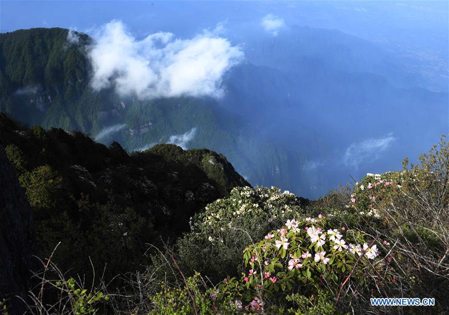 Chine : paysages magnifiques des monts Taishan et Emei