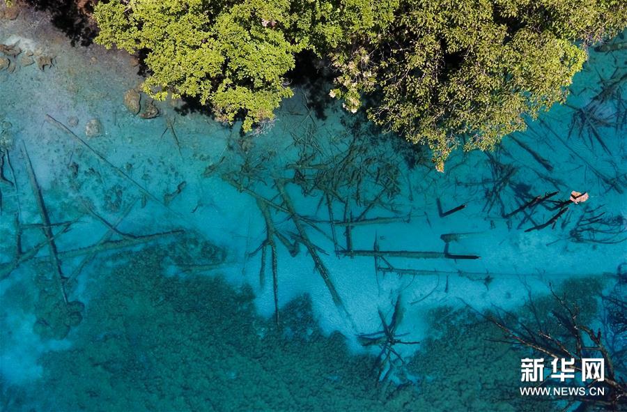 La vallée de Jiuzhaigou : un paysage d'une beauté féerique