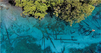 La vallée de Jiuzhaigou : un paysage d'une beauté féerique