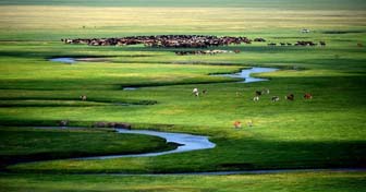 Chine: paysages de pâturages en Mongolie intérieure