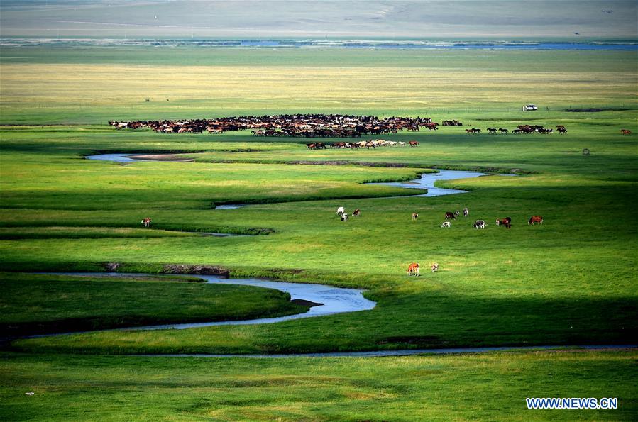 Chine: paysages de pâturages en Mongolie intérieure