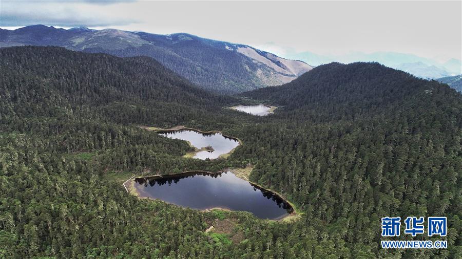 Les paysages multicolores du Yunnan à travers les saisons