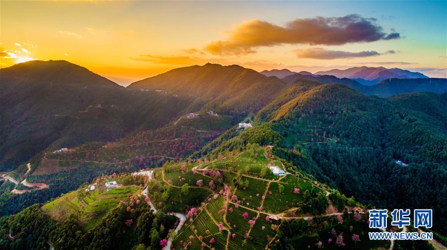 Les paysages multicolores du Yunnan à travers les saisons