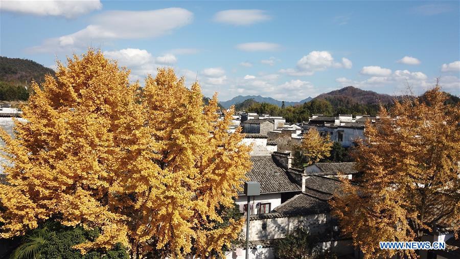 Chine : beaux paysages d’hiver à travers le pays 