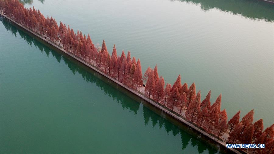 Chine: paysage du lac Nianjia au Hunan