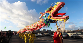 Belgique : célébration du Nounvel An chinois à Liège