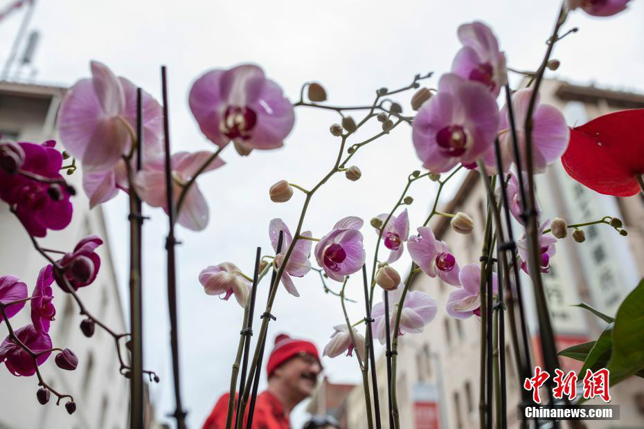 San Francisco : le quartier de Chinatown se prépare pour le Nouvel An chinois