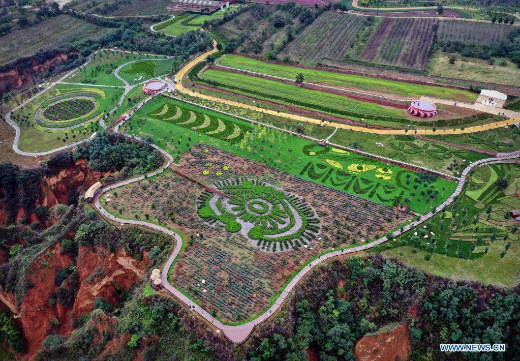 Chine : l'archéologie et la culture de Yangshao au Henan (centre)