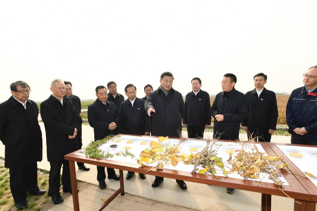 Xi Jinping insiste sur les progrès notables dans la protection écologique et le développement de haute qualité du bassin du fleuve Jaune