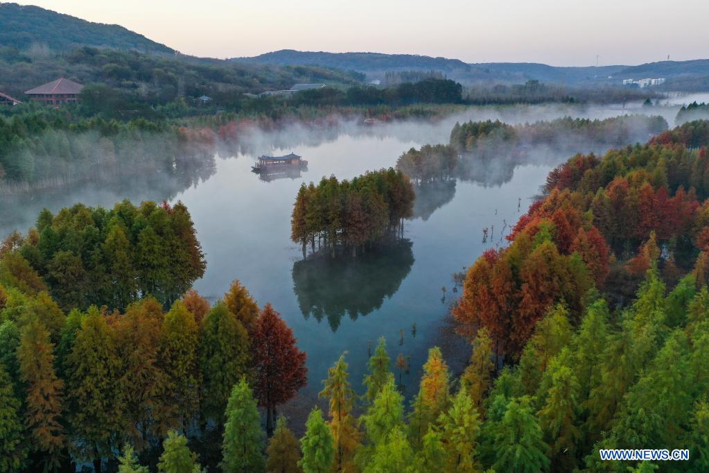 Chine: paysage hivernal du lac Tianquan au Jiangsu