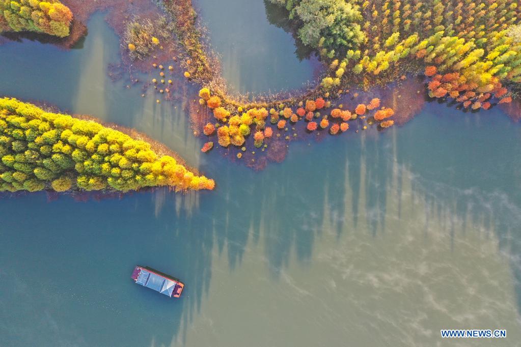 Chine: paysage hivernal du lac Tianquan au Jiangsu