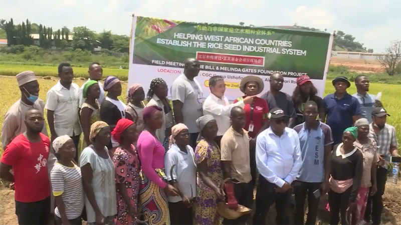 La coopération agricole entre la Chine et le Nigeria vise à accroître la production alimentaire