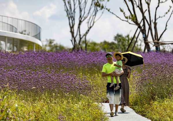 Chine : tourisme rural au Guizhou