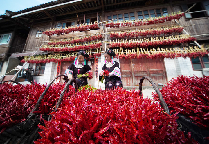 La Chine célèbre le festival des récoltes des agriculteurs