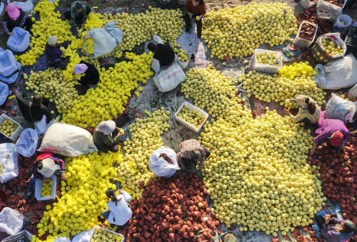 La Chine célèbre le festival des récoltes des agriculteurs