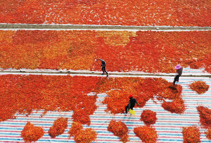 La Chine célèbre le festival des récoltes des agriculteurs