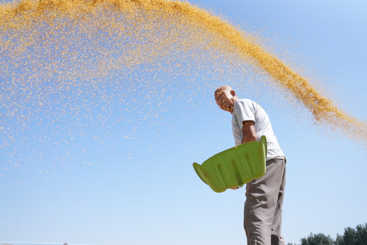 La Chine célèbre le festival des récoltes des agriculteurs