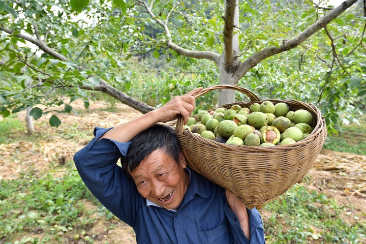 La Chine célèbre le festival des récoltes des agriculteurs