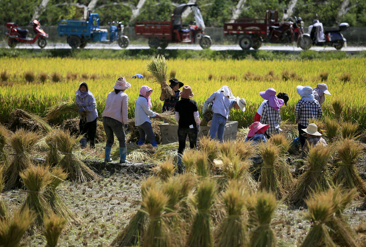 La Chine célèbre le festival des récoltes des agriculteurs