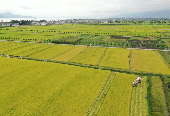 La Chine célèbre le festival des récoltes des agriculteurs