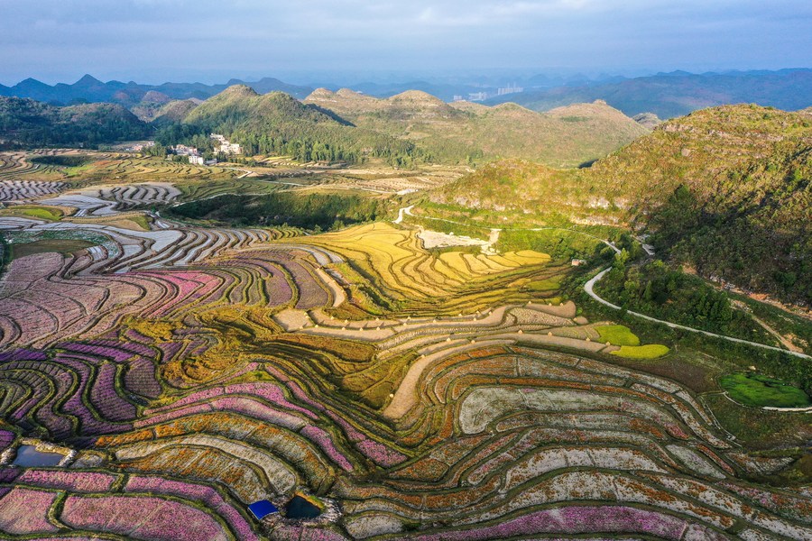 Chine : la culture des fleurs à Guiyang